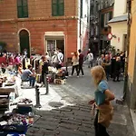 Il Geco